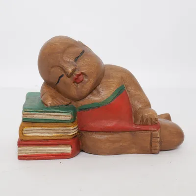 Boekensteun (Bruin, Meerkleurig)