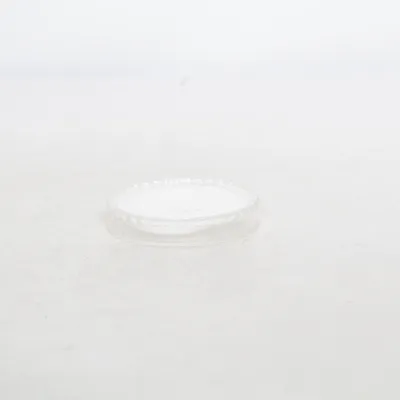 Camera accessory (Transparent)