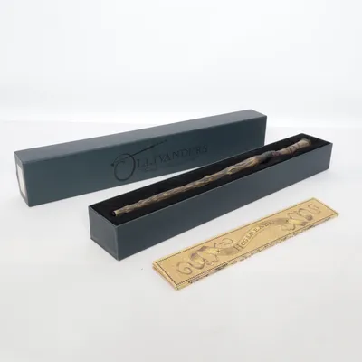Costume accessories (Brown) from Harry Potter
