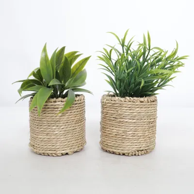 Kunstplant (Groen, Beige)