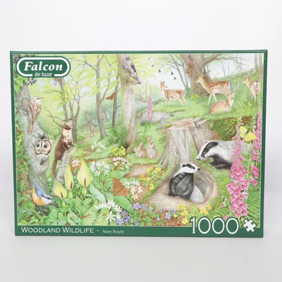 Puzzel van Falcon