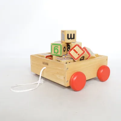 Pull toy (Brown, Multicolored) from Kids Wood