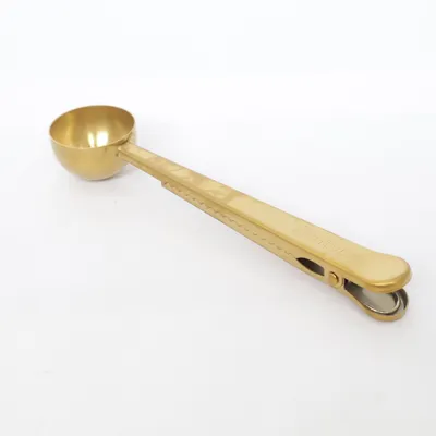 IJsschep (Goud) van Fitvia