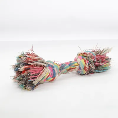 Jouet pour chien (Multicolore)