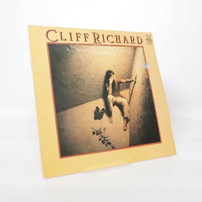 Vinylplade