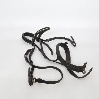 Bridle (Black)