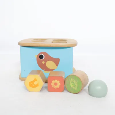 Activity toy (Brown, Multicolored) from BR