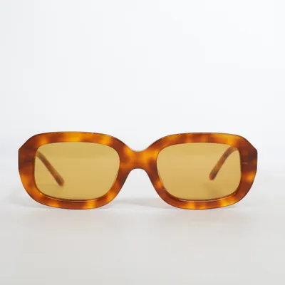 Sunglasses (Brown) from Corlin Eyewear