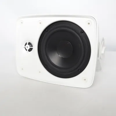 Speaker from Nikabe