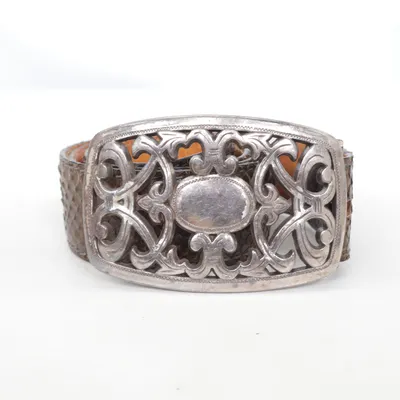 Bälte (Brun, Flerfärgad) från Reptile's House