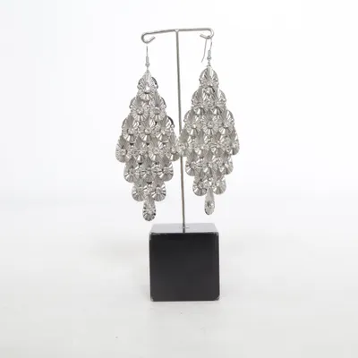 Boucles d'oreilles (Argent) Métal inconnu