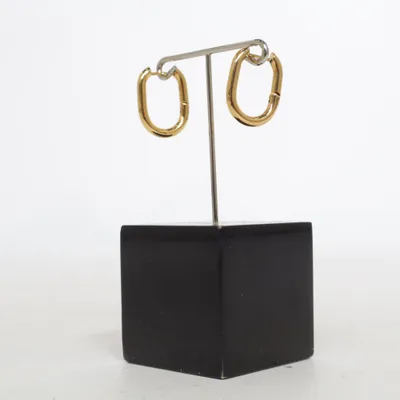 Earrings (Gold) from DoRose Stainless steel