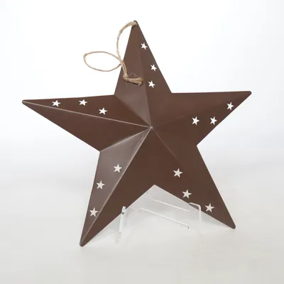 Julstjärna (Brun)
