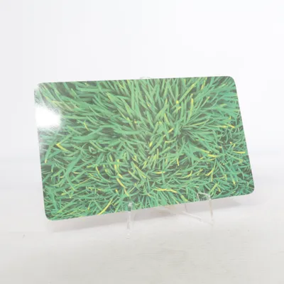 Pot coaster from Remember