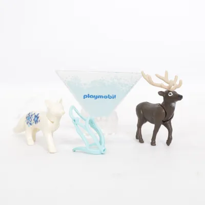 Speelgoedfiguur (Wit, Bruin, Meerkleurig) van Playmobil