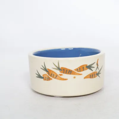Futternapf (Beige, Blau)