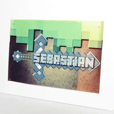 Speltillbehör (Flerfärgad) från Minecraft
