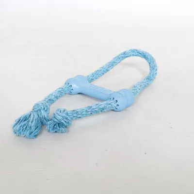 Dog toy (Blue) from Kong