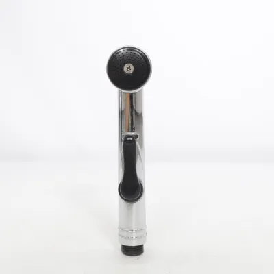 Pommeau de douche (Argent)