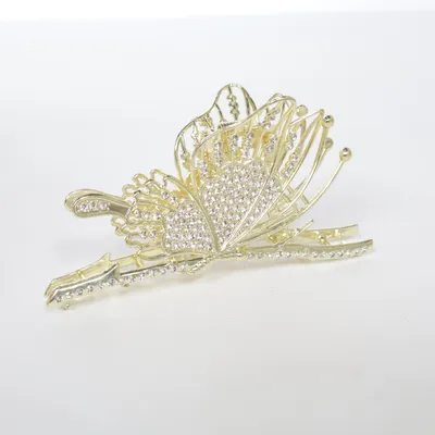 Haarklem (Goud, Meerkleurig)