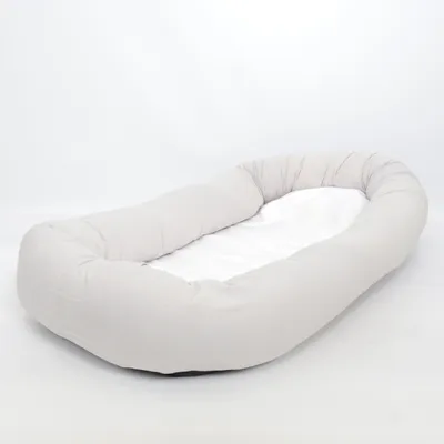 Babynest (Gray) from Baby Dan