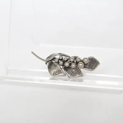 Broche (Zilver) Onbekend materiaal
