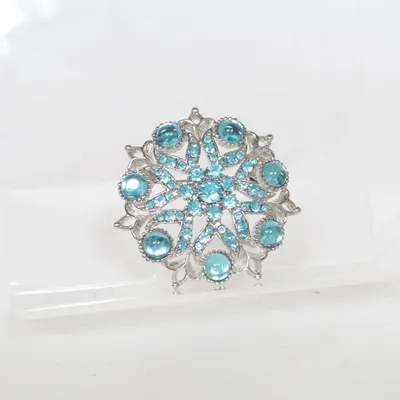 Broche (Blauw, Zilver) Onbekend materiaal