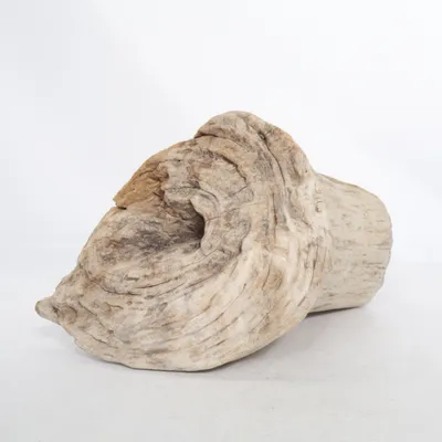 Home decoration (Brown)
