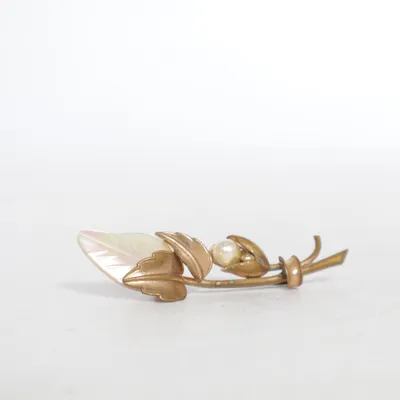 Broche (Guld, Hvid) Ukendt metal