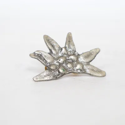 Brosch (Silverfärgad) Okänd metall