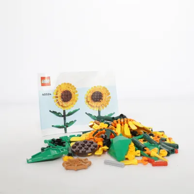 Construction set (40524) from LEGO