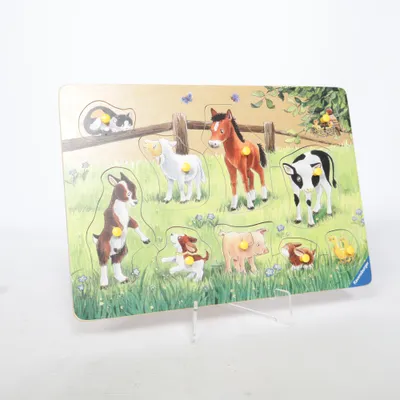 Aktivitetsleksak (Flerfärgad) från Ravensburger