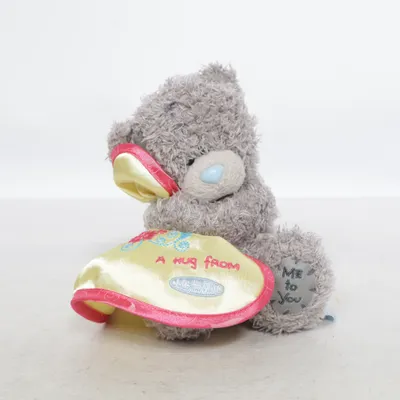 Soft toy (Tatty Teddy) from Me To You