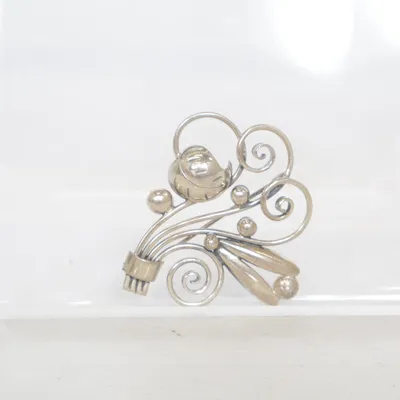 Broche (Zilver) Onbekend materiaal