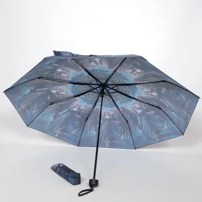 Paraply (Blå, Flerfärgad)