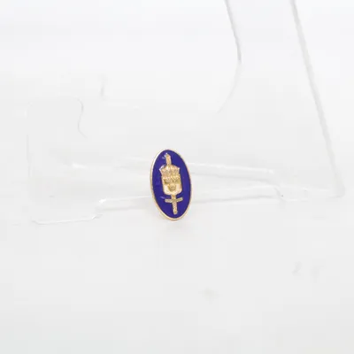 Broche (Blauw, Goud) Onbekend materiaal