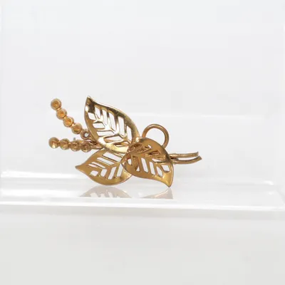 Broche (Goud) Onbekend materiaal