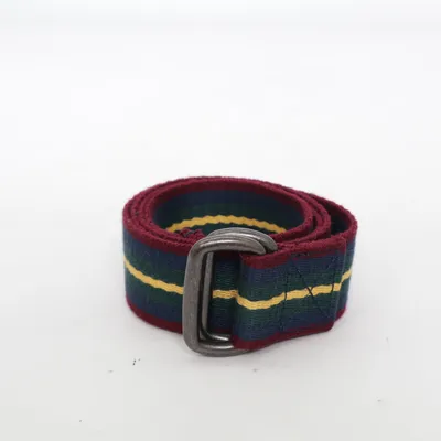Belt (Multicolored) from Polo