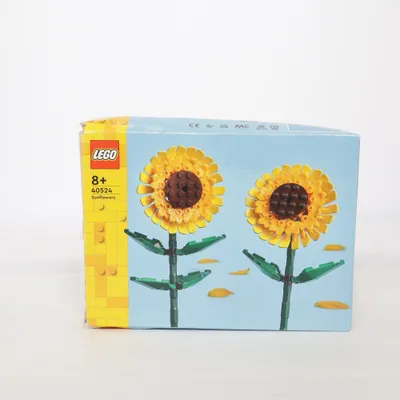 Construction set (40524) from LEGO