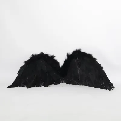 Accessoires de déguisement (Noir)