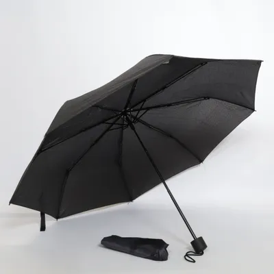 Parapluie (Noir) de Tedi