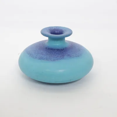 Vaas (Blauw, Meerkleurig)