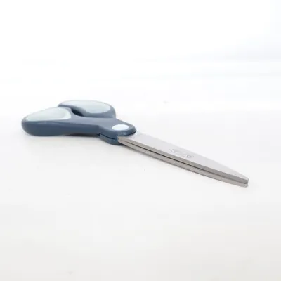 Ciseaux (Bleu, Gris) de Leitz