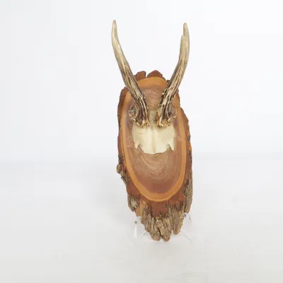 Trophée animaux (Marron)