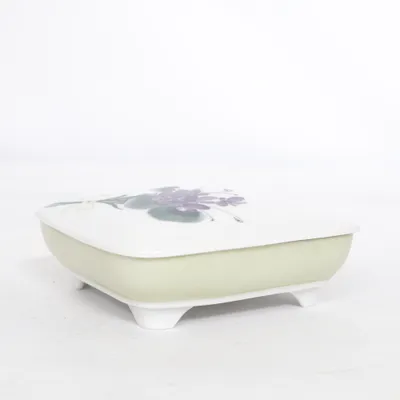 Beurrier (Blanc, Violet, Vert) de Rosenthal