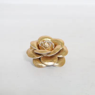Brooch (Gold) Unknown metal