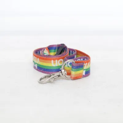 Laisse (Multicolore) de Vision