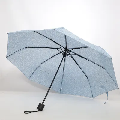 Paraply (Blå, Flerfärgad)