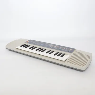Synth (Grå, Vit) från Casio