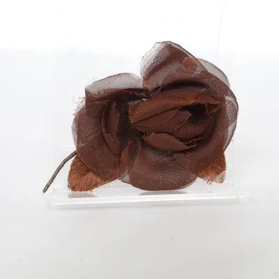 Brosch (Brun) Okänd metall